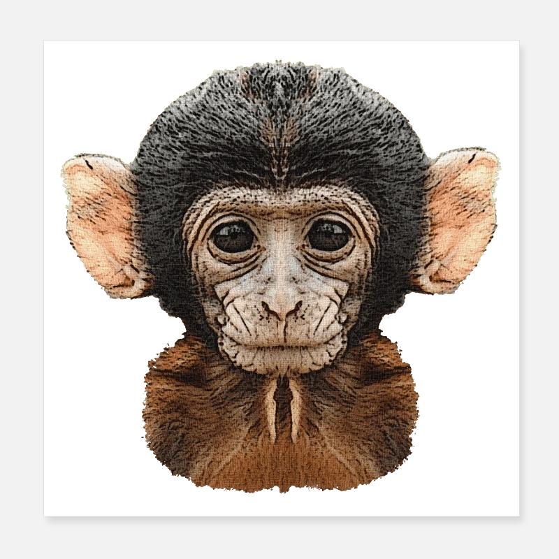 meilleures conceptions de la faune, motif de toile de bébé singe Poster 20 x 20 cm