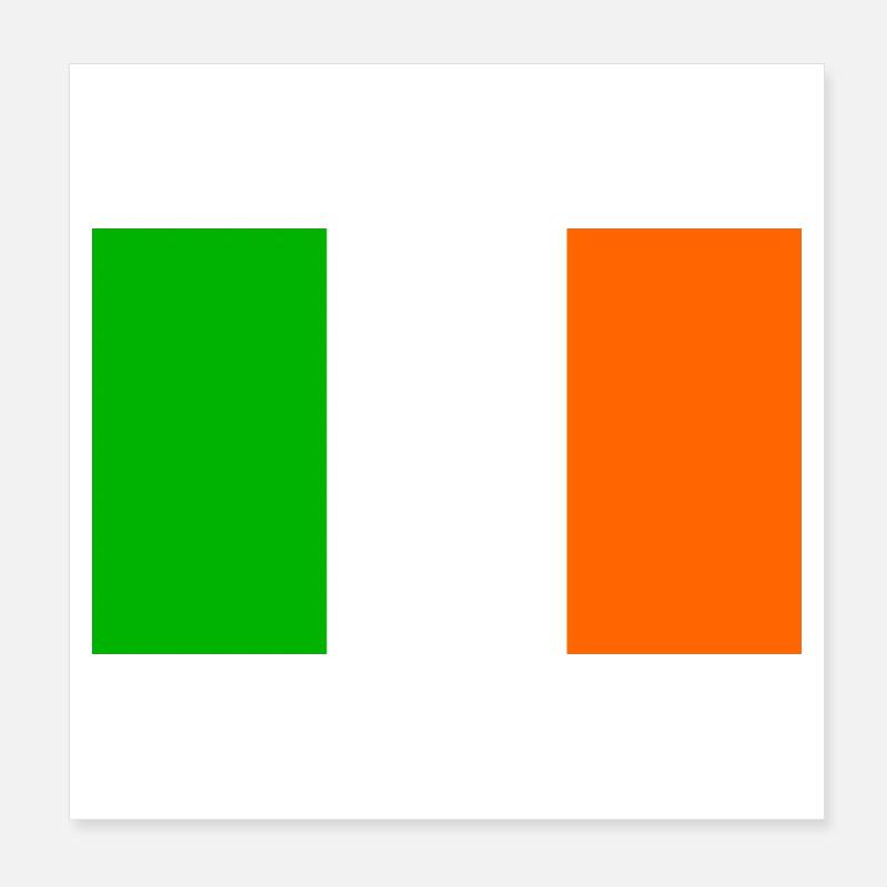 Indicateur irlandais Poster 20 x 20 cm