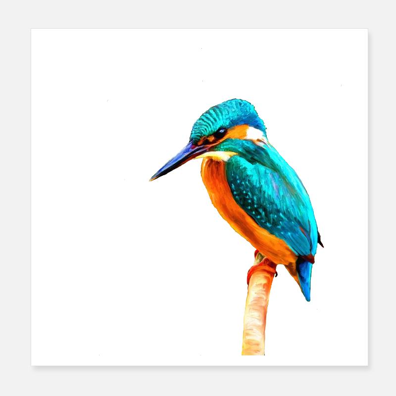 Kingfisher - Poster 20x20 cm - Weiß