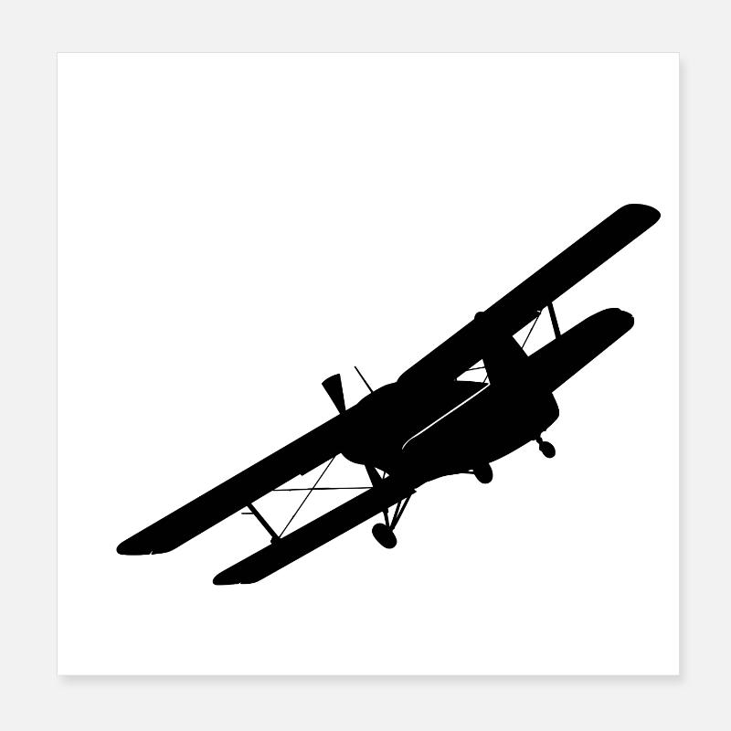 An-2 Poster 20x20 cm