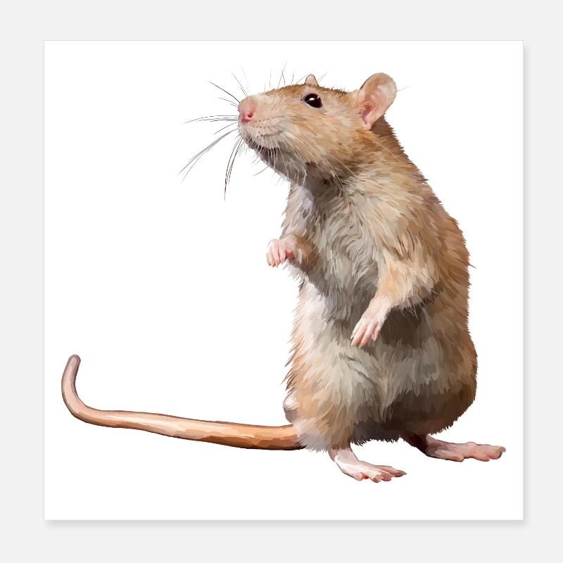 Maus Poster 20x20 cm