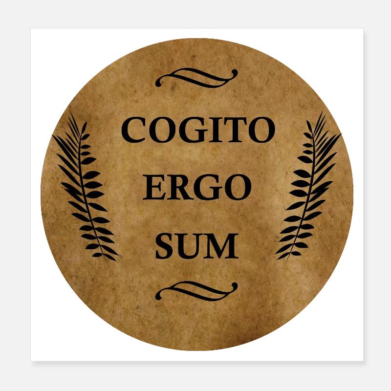 Cogito Ergo Sum Poster 20x20 cm