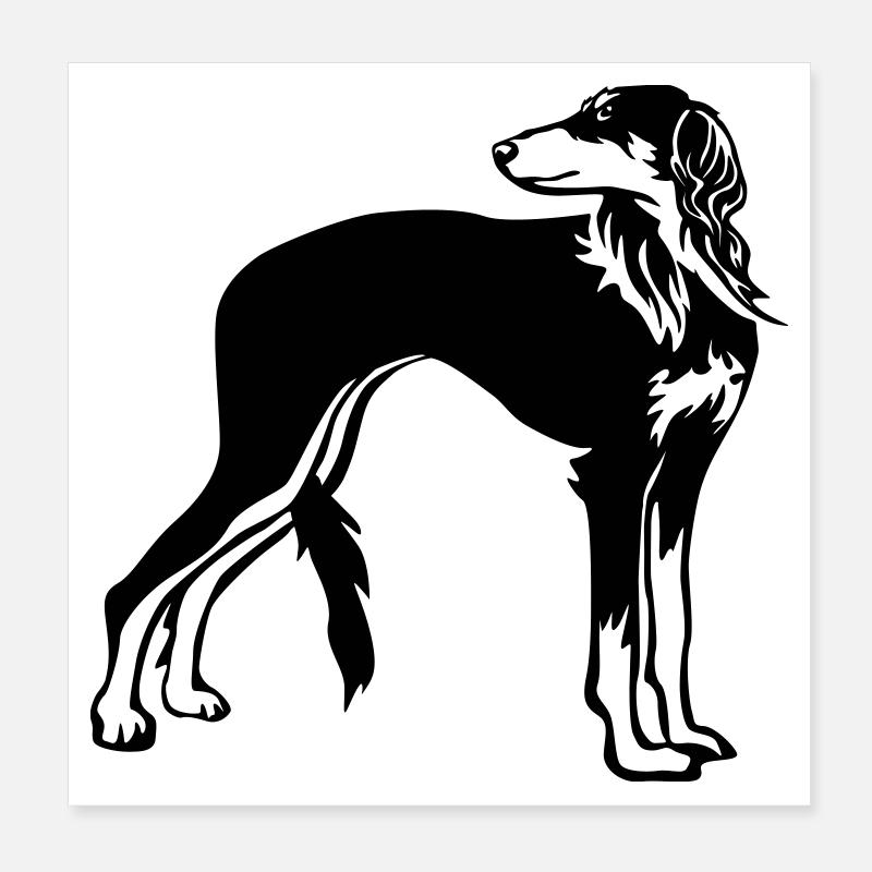 Saluki Poster 20x20 cm