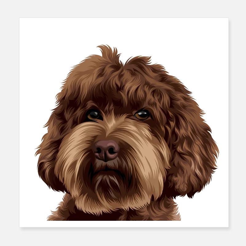 Schnoodle Doodle Dog Poster 20x20 cm