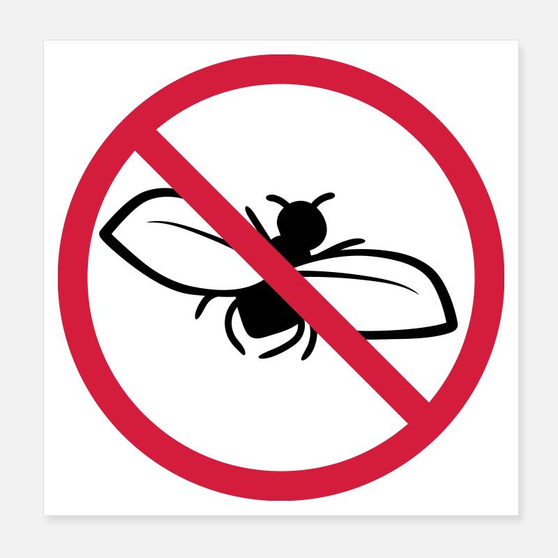 Scudo Proibito Volare Poster 20x20 cm