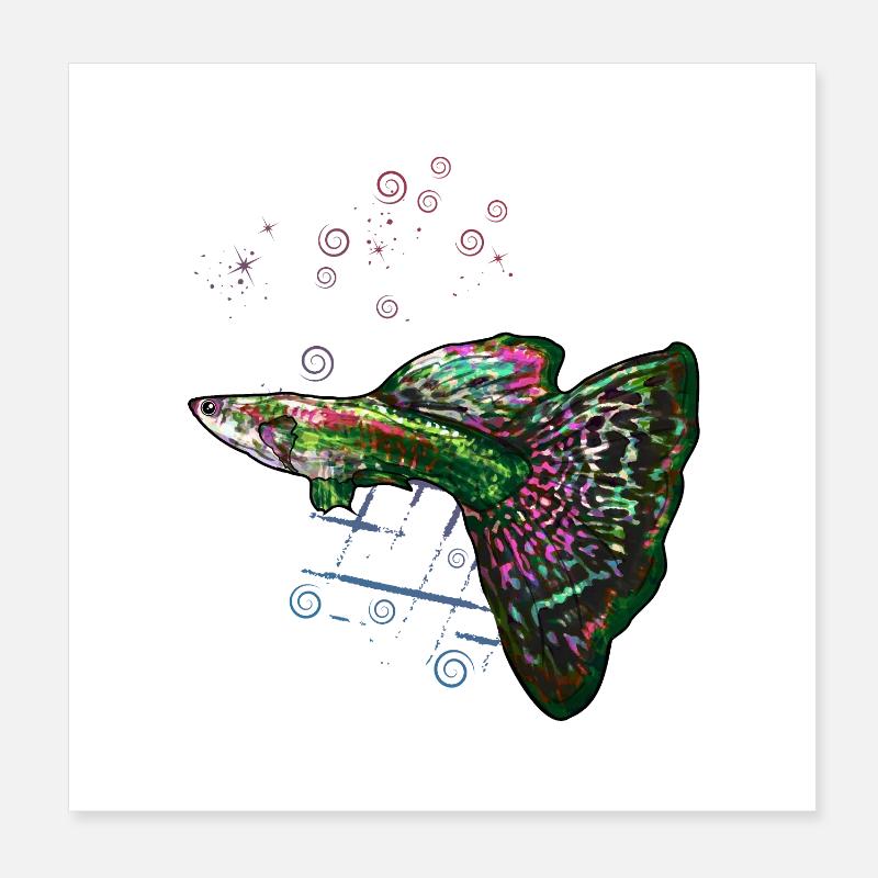 Guppy Anfängerfisch Aquarium Spaß Poster 20x20 cm