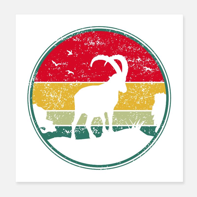Steinbock, Wandern, Berge Poster 20x20 cm