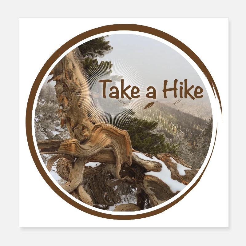 old gnarled tree on the Pacific Crest Trail Poster 8" x 8" (20x20 cm)