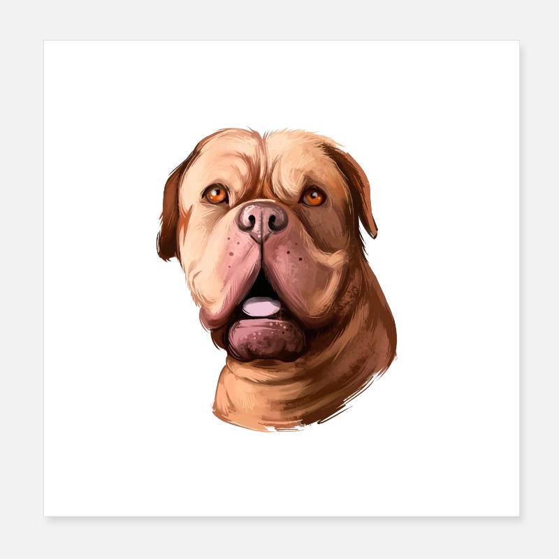Dogue De Bordeaux Aquarelle pour chien Illustration Poster 20 x 20 cm