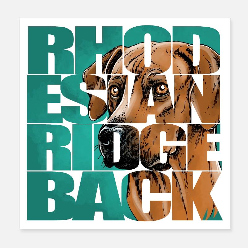 Rhodesian Ridgeback Poster 8" x 8" (20x20 cm)