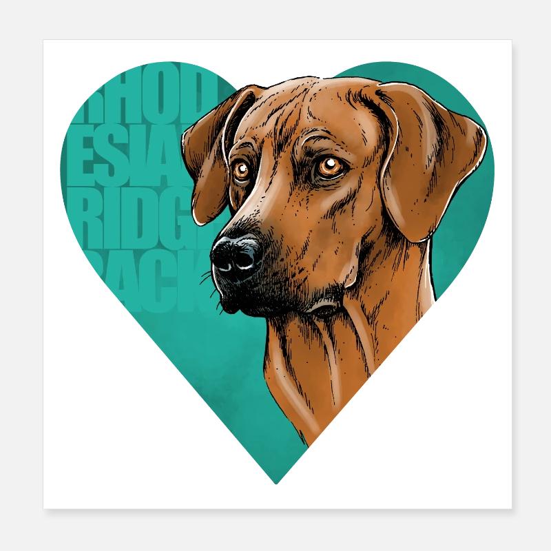 Rhodesian Ridgeback Poster 8" x 8" (20x20 cm)