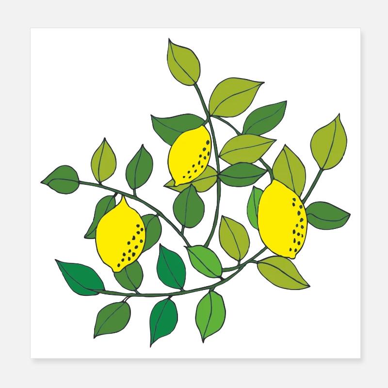 citronnier Poster 20 x 20 cm