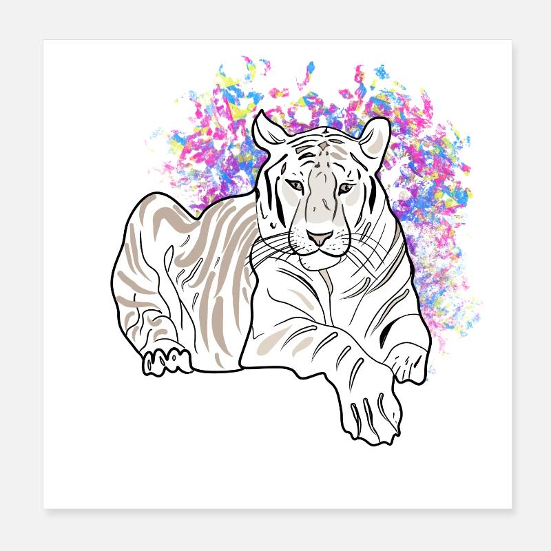 LYING TIGER Poster 8" x 8" (20x20 cm)