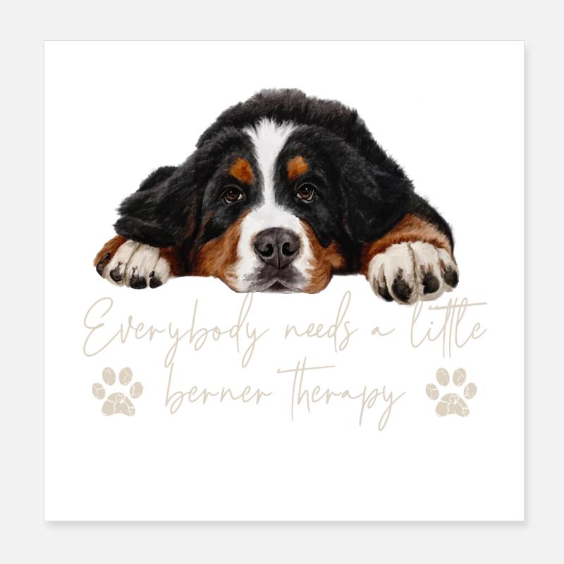 Berner Sennenhund - Poster 20x20 cm - Weiß
