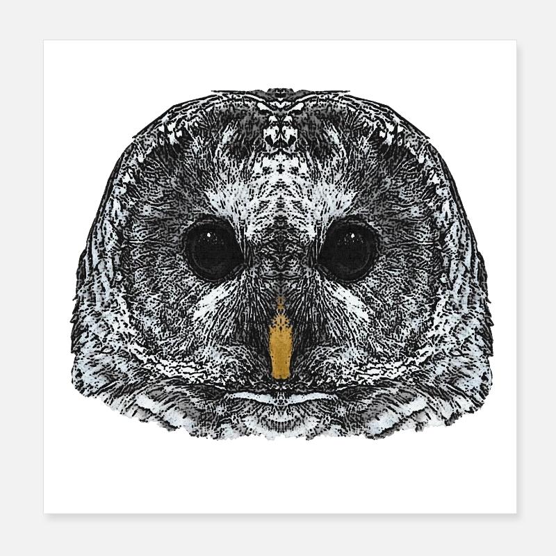 eulengesicht, schneeeulenkopf Poster 20x20 cm