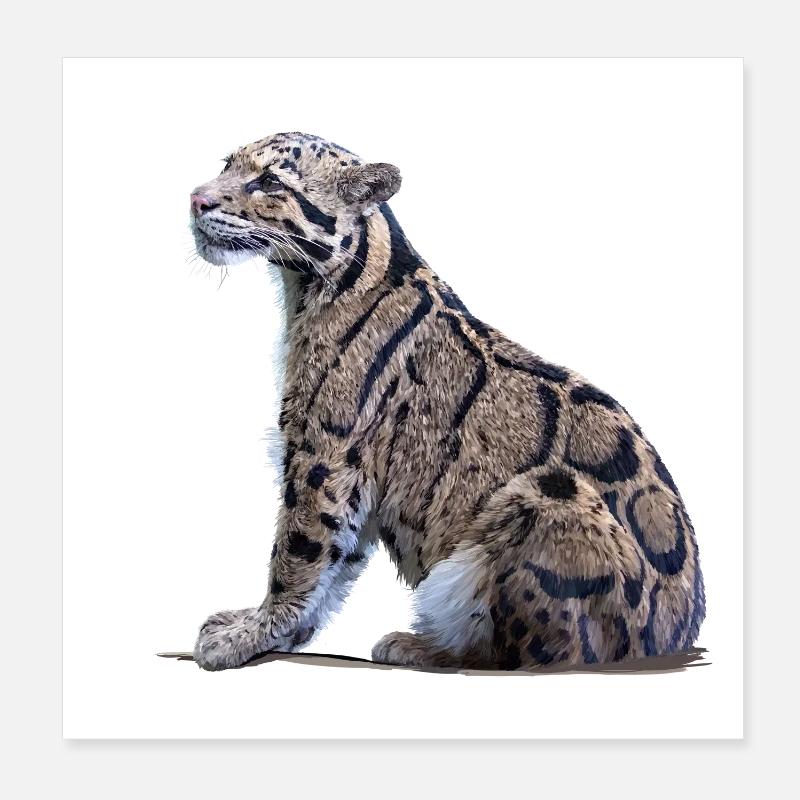 Clouded leopard Poster 8" x 8" (20x20 cm)