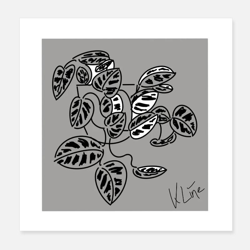 Affiche de plantes d’intérieur Poster 20 x 20 cm