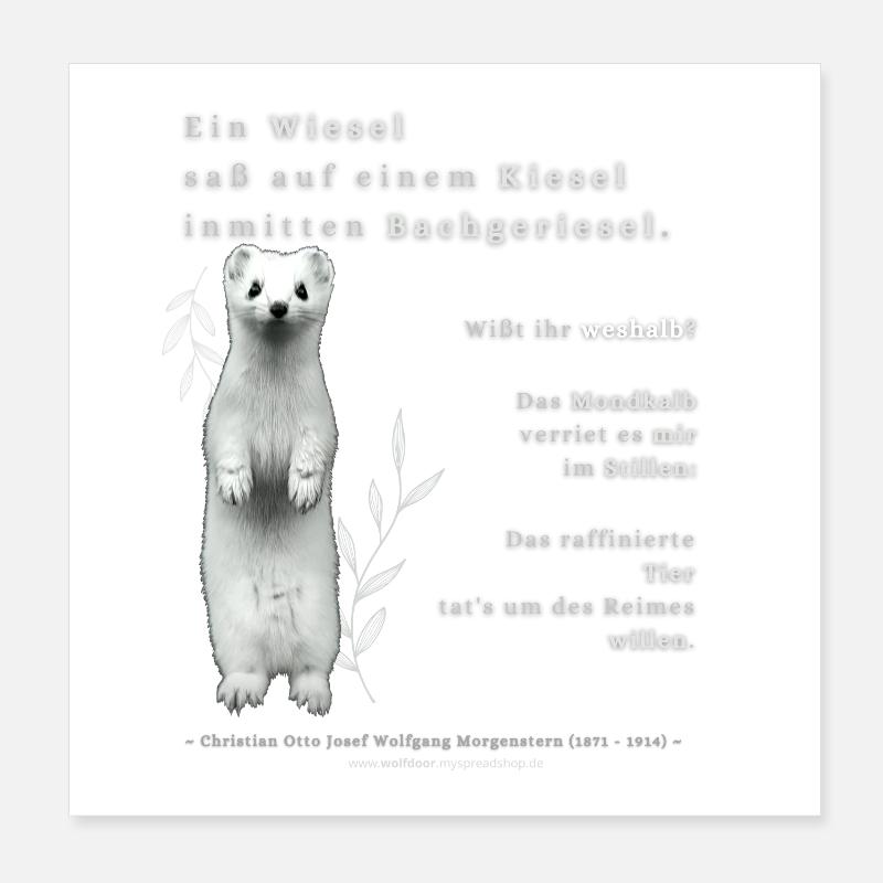 Kleines Hermelin Spruchbild Poster 20x20 cm