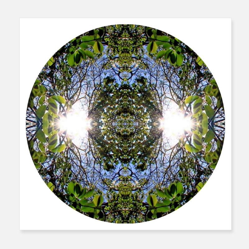 Nature Mandala Source à Nbg Erlenstegen Poster 20 x 20 cm