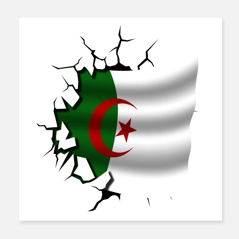 Algérie - Algérie - Drapeau déchiré Poster 20 x 20 cm