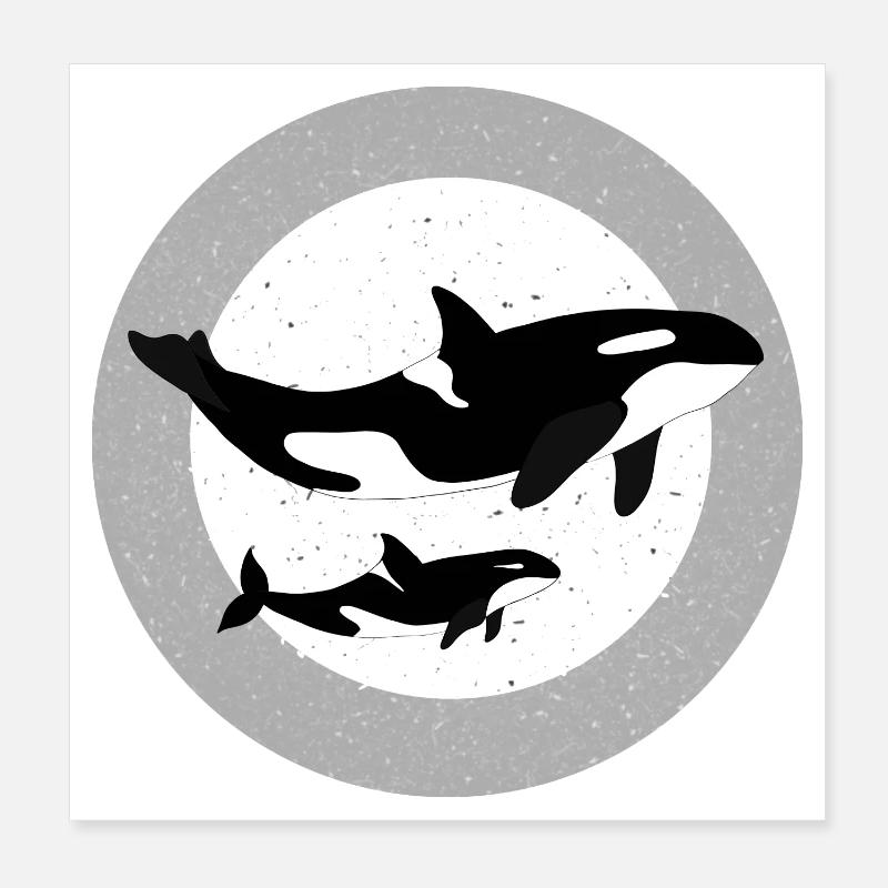 Wal und Orca Illustration - Poster 20x20 cm - Weiß
