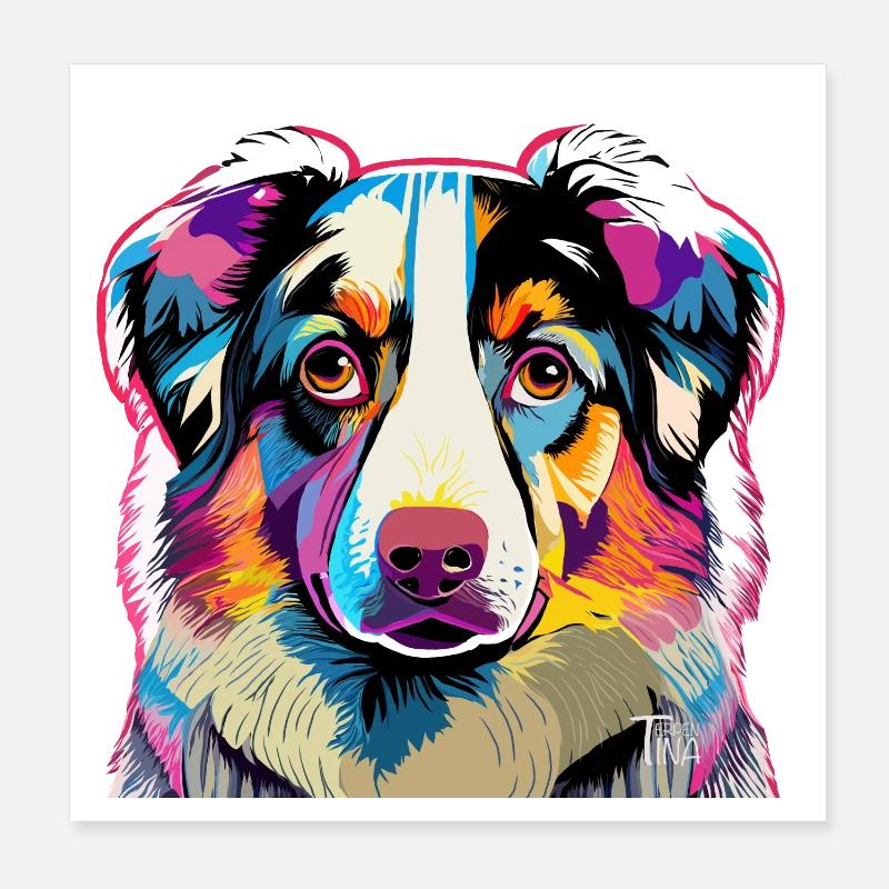 Berger d’Australie coloré - Poster 20 x 20 cm - blanc