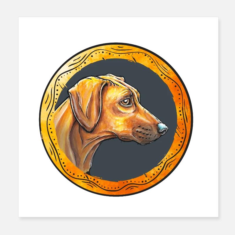 Rhodesian Ridgeback Poster 20x20 cm
