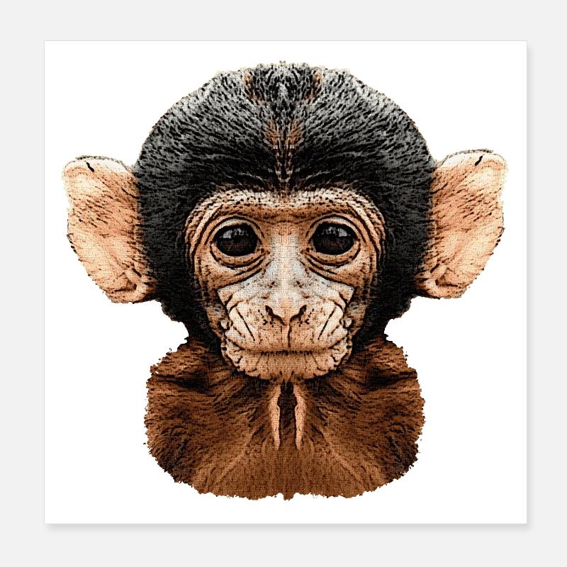 affenkopf, äffchen Poster 20x20 cm