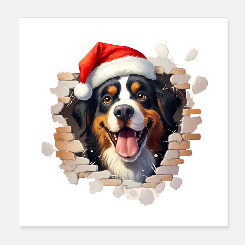Bouvier bernois avec bonnet de Père Noël Poster 20 x 20 cm
