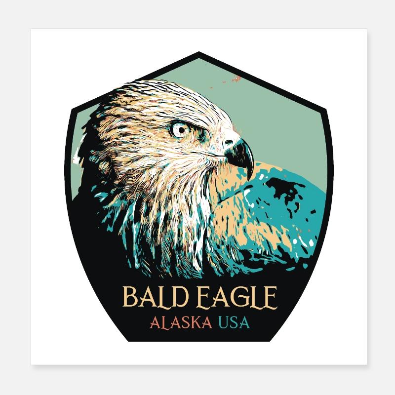 Portrait d’aigle à tête blanche d’Alaska Poster 20 x 20 cm