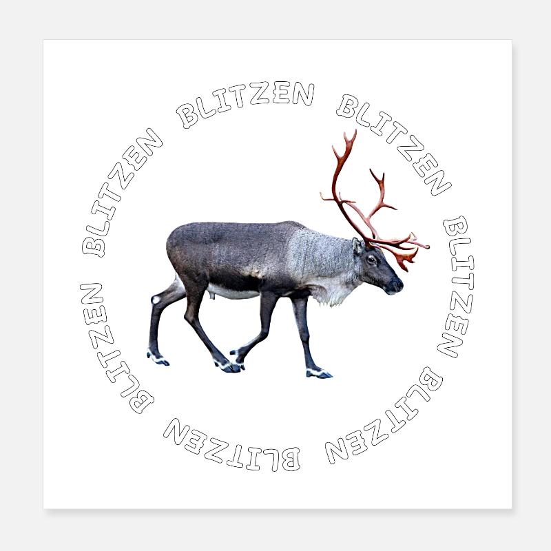 BLITZEN Poster 20x20 cm
