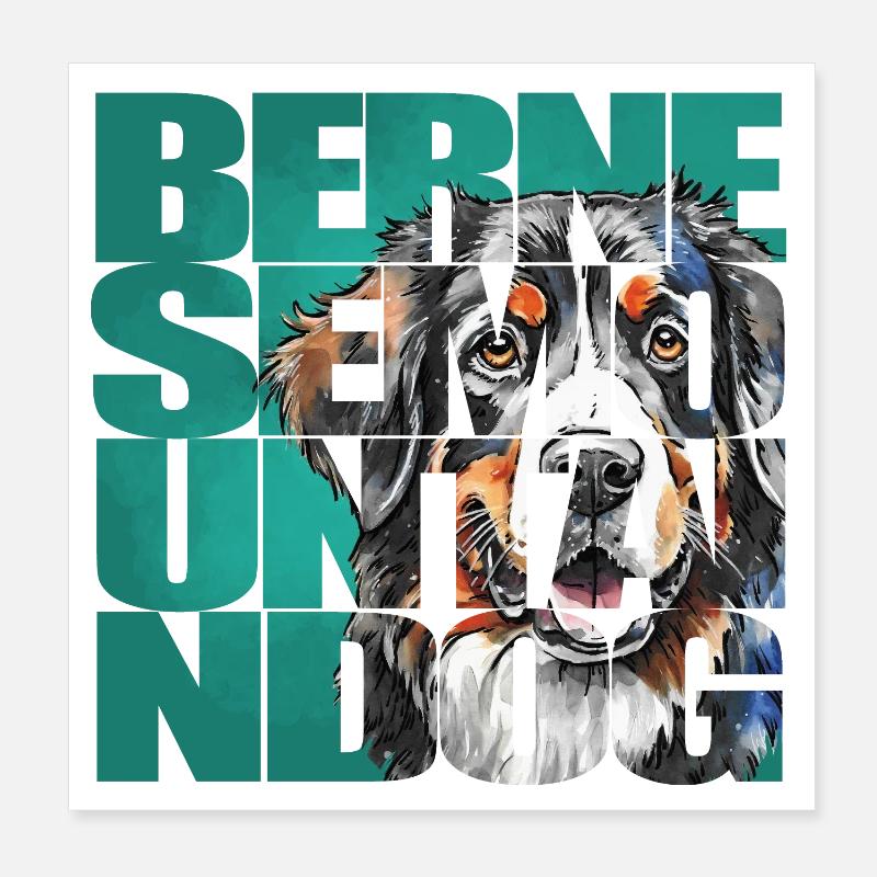 Portrait de bouvier bernois Poster 20 x 20 cm