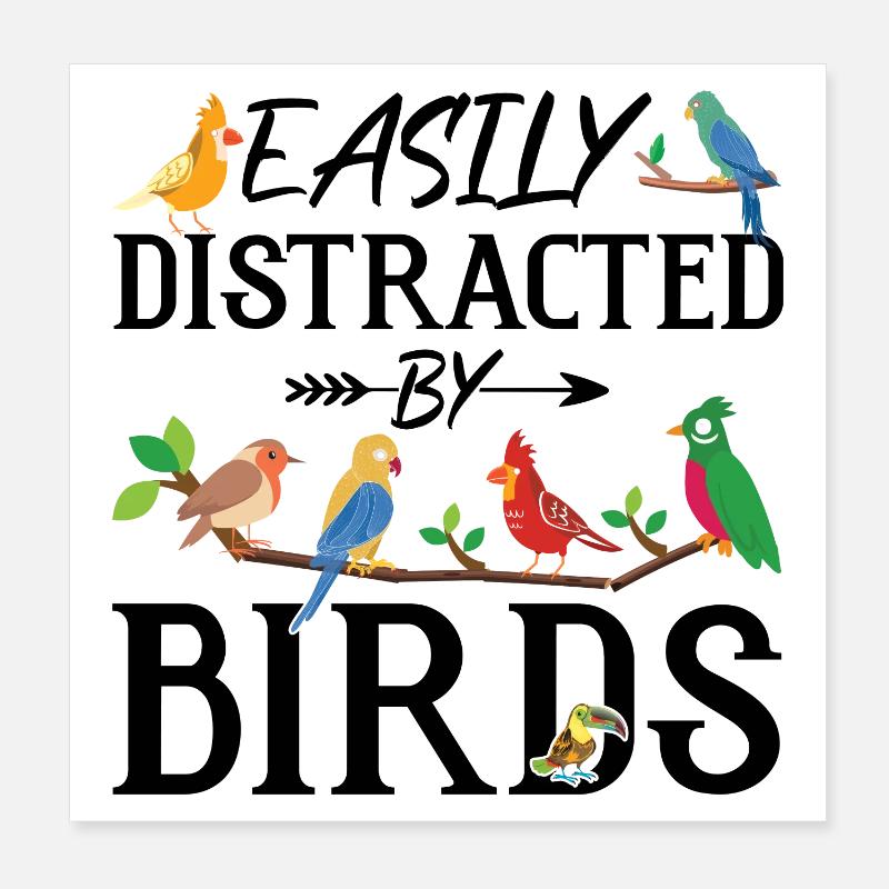 Facilement distrait par les oiseaux Poster 20 x 20 cm