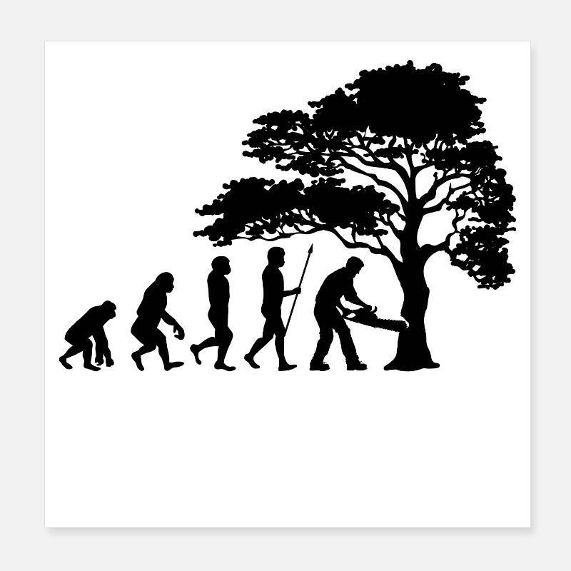Holzfäller Baum Evolution Säge Sägespäne - Poster 20x20 cm - Weiß