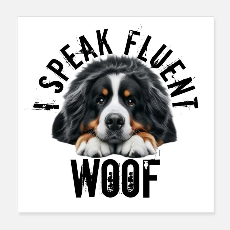 Berner Sennenhund - Poster 20x20 cm - Weiß
