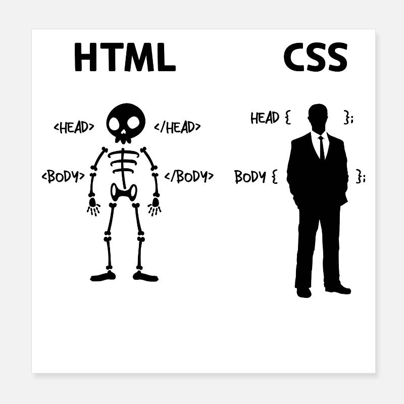 Développeur Programmeur Coden Code de script CSS Poster 20 x 20 cm