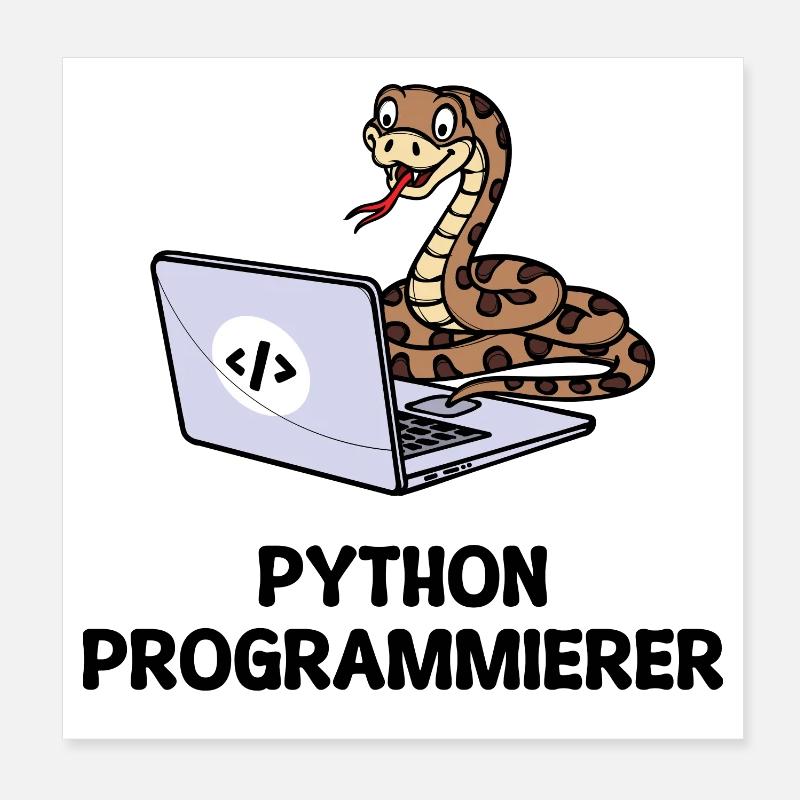 Programmierer Computer Code Developer Statement Poster 20x20 cm