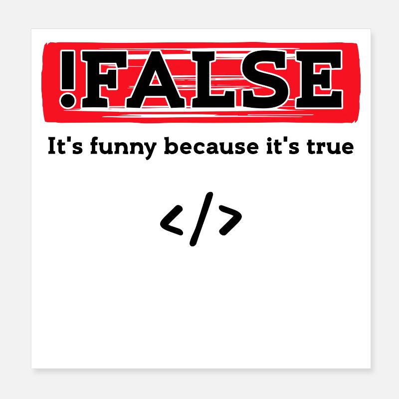 Code Debug Programmierer Developer Lustige Sprüche Poster 20x20 cm