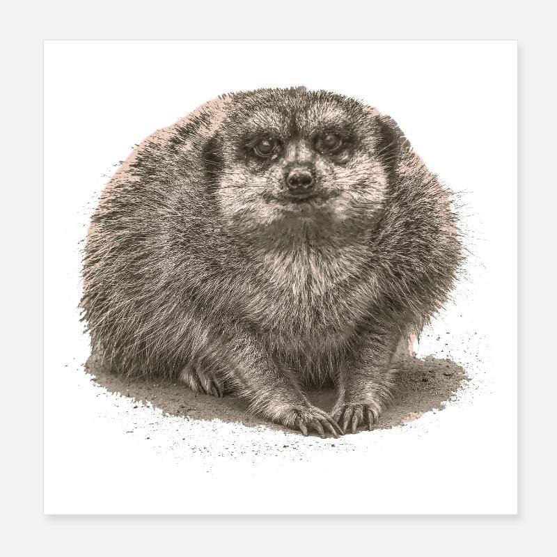 Meerkat sitting in the sand Poster 8" x 8" (20x20 cm)