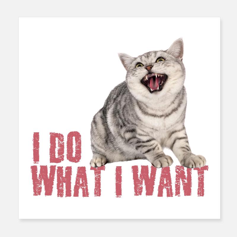 Chat : Je fais ce que je veux Poster 20 x 20 cm