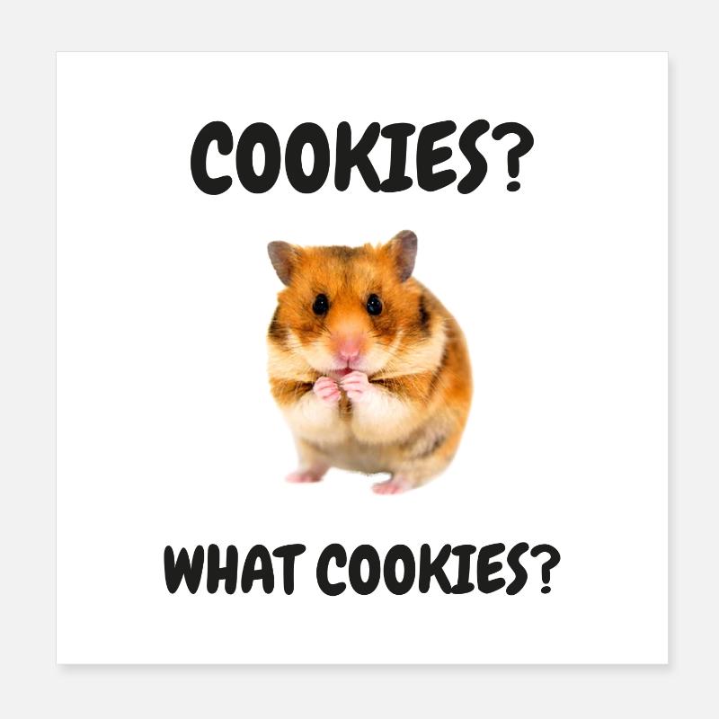Hamster Meme Cookies Biscuits Snacking Hamster doré Poster 20 x 20 cm