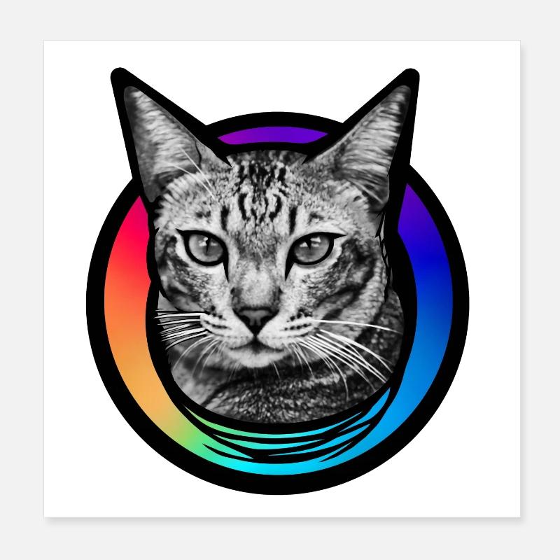 Regenbogen-Katze Poster 20x20 cm
