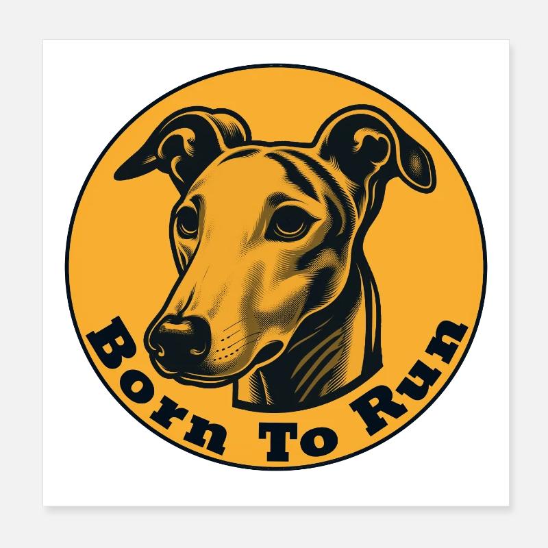 Whippet né pour courir Poster 20 x 20 cm