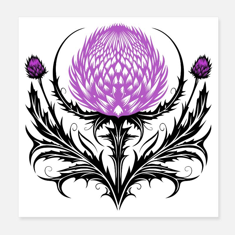 Distel Tattoo Scottish Thistle Botanical Art Poster 20x20 cm