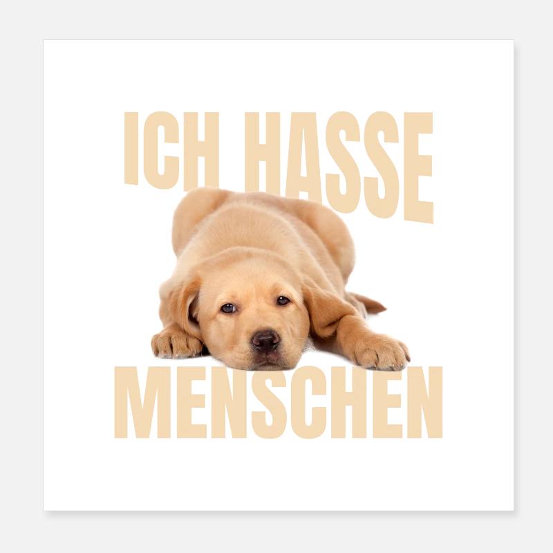 Mème du Labrador Poster 20 x 20 cm