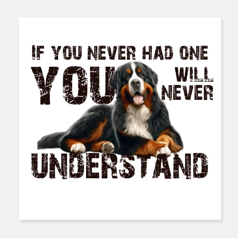 Bouvier bernois Poster 20 x 20 cm