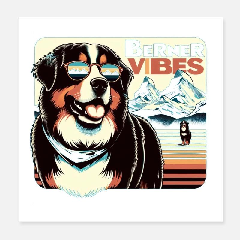 Bouvier bernois Poster 20 x 20 cm