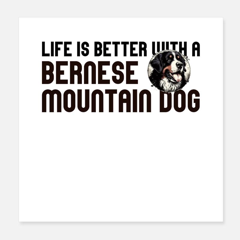 Bouvier bernois Poster 20 x 20 cm