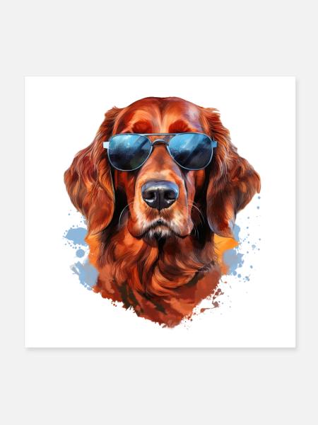 Setter irlandais avec lunettes de soleil - Poster 20 x 20 cm - blanc - Devant