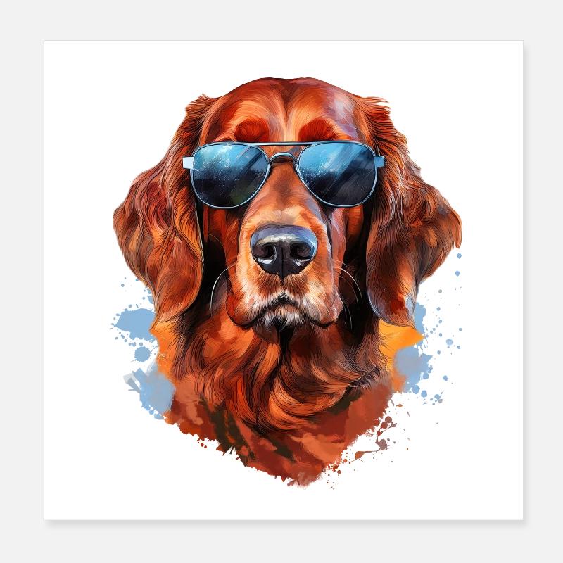 Setter irlandais avec lunettes de soleil Poster 20 x 20 cm